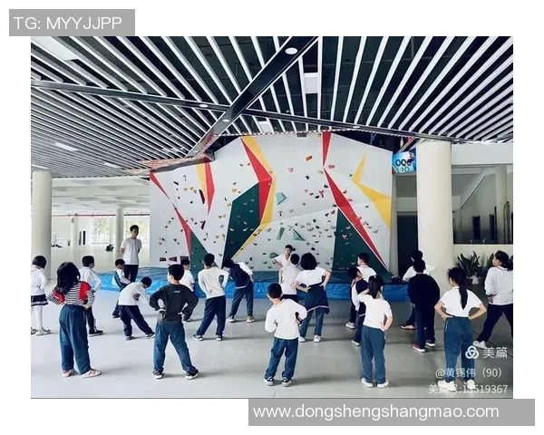 北京攀岩队心理素质深度对比分析与训练策略探讨