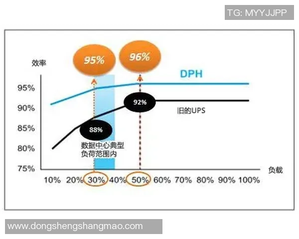 上海极限运动队耐力表现数据分析与训练策略探讨