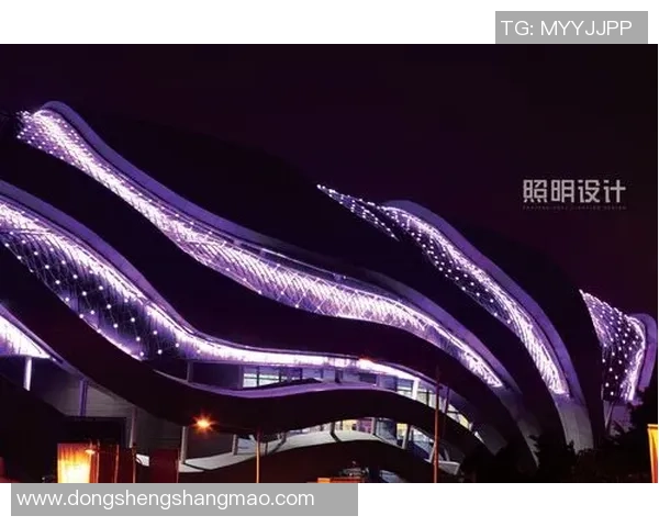 广州极限运动队创历史新高引领运动节奏排名潮流