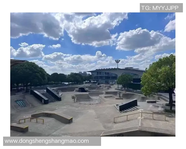 武汉极限运动队在滑板精英赛中的拼搏历程与荣耀时刻 武汉极限运动队在滑板精英赛中的拼搏历程与荣耀时刻